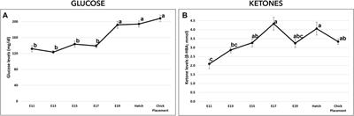 Supply and demand of creatine and glycogen in broiler chicken embryos